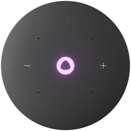Умная колонка Яндекс Станция Мини 3 Про с Zigbee , Черный
