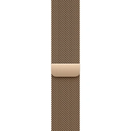 Смарт-часы Apple Watch Series 11 42mm Slate Titanium Case with Gold Milanese Loop