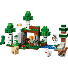 Конструктор LEGO Minecraft First Night Adventure 21593