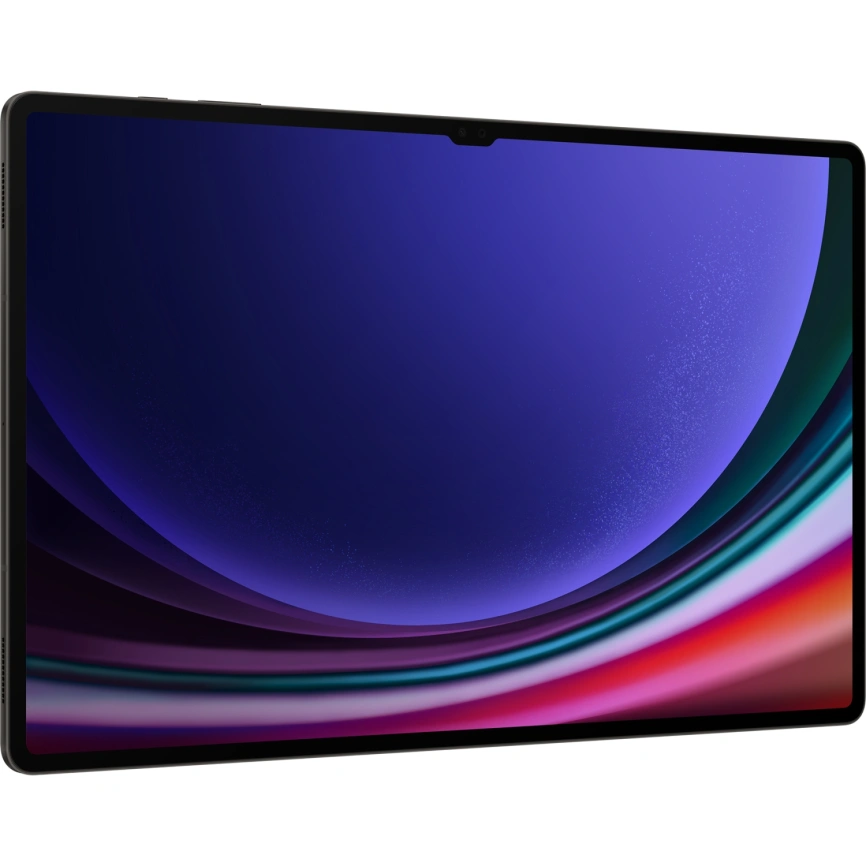 Планшет Samsung Galaxy Tab S9 Ultra LTE 12/256GB Graphite (SM-X916B) фото 4