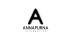 Annapurna Interactive